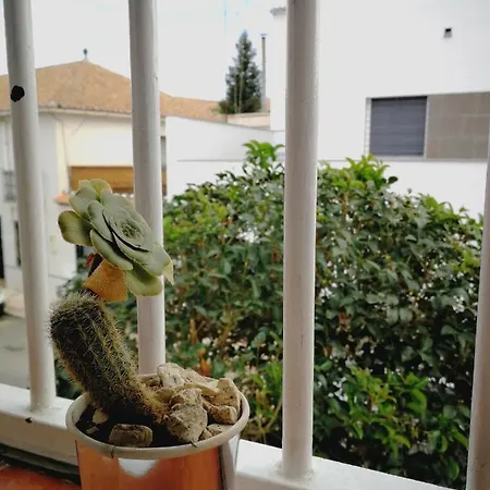 Ca' Vaschino Appartamento